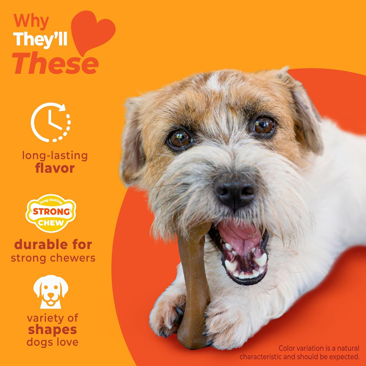 Nylabone Strong Chew Dog Toy 4-Pack, Durable Chew Toys, Small Dogs