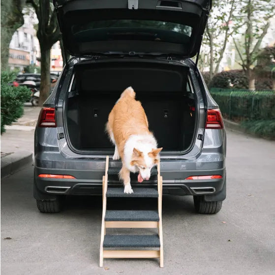 PawlixCare 4-Step Foldable Pet Stairs with Ramp – Wooden Dog & Cat Steps