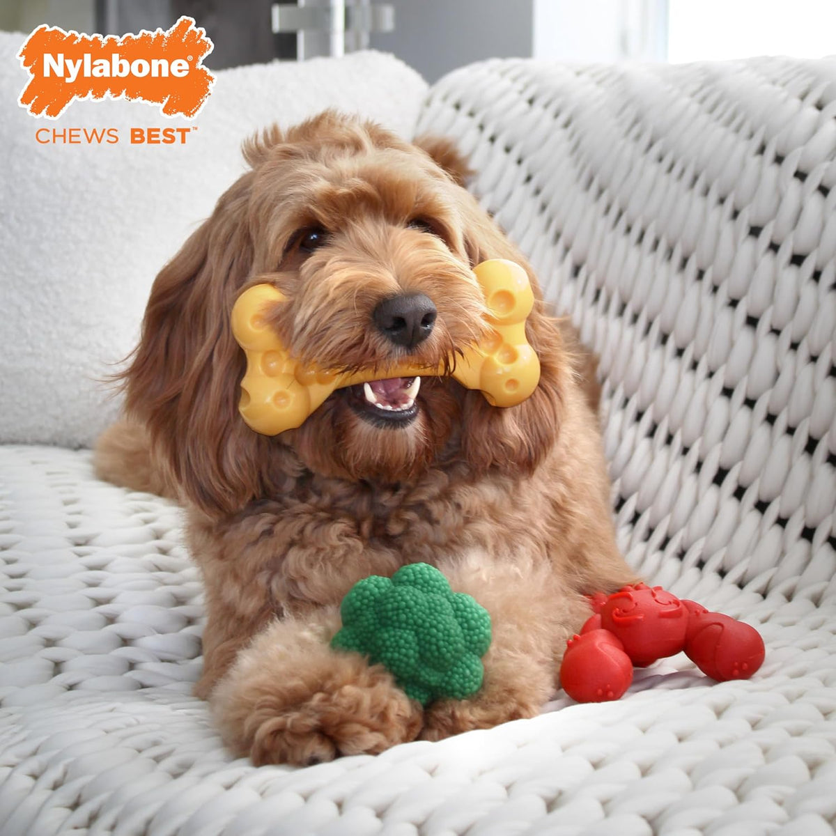 Nylabone Power Chew Toy Bundle, Dog Toys for Aggressive Chewers, 3 Pack