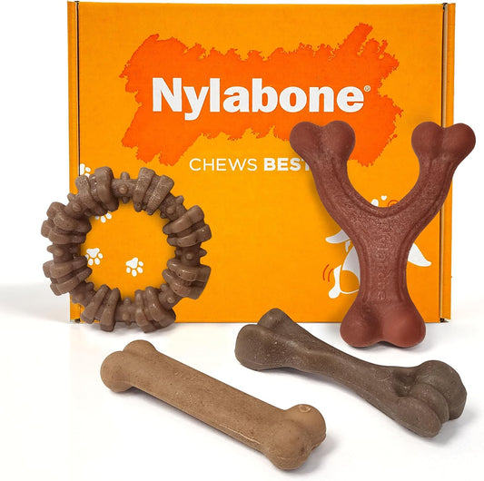 Nylabone Strong Chew Dog Toy 4-Pack, Durable Chew Toys, Small Dogs